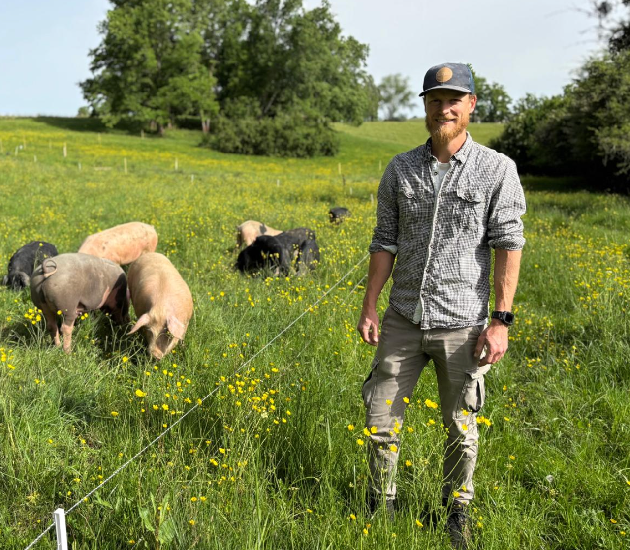 Pâté de porc plein air