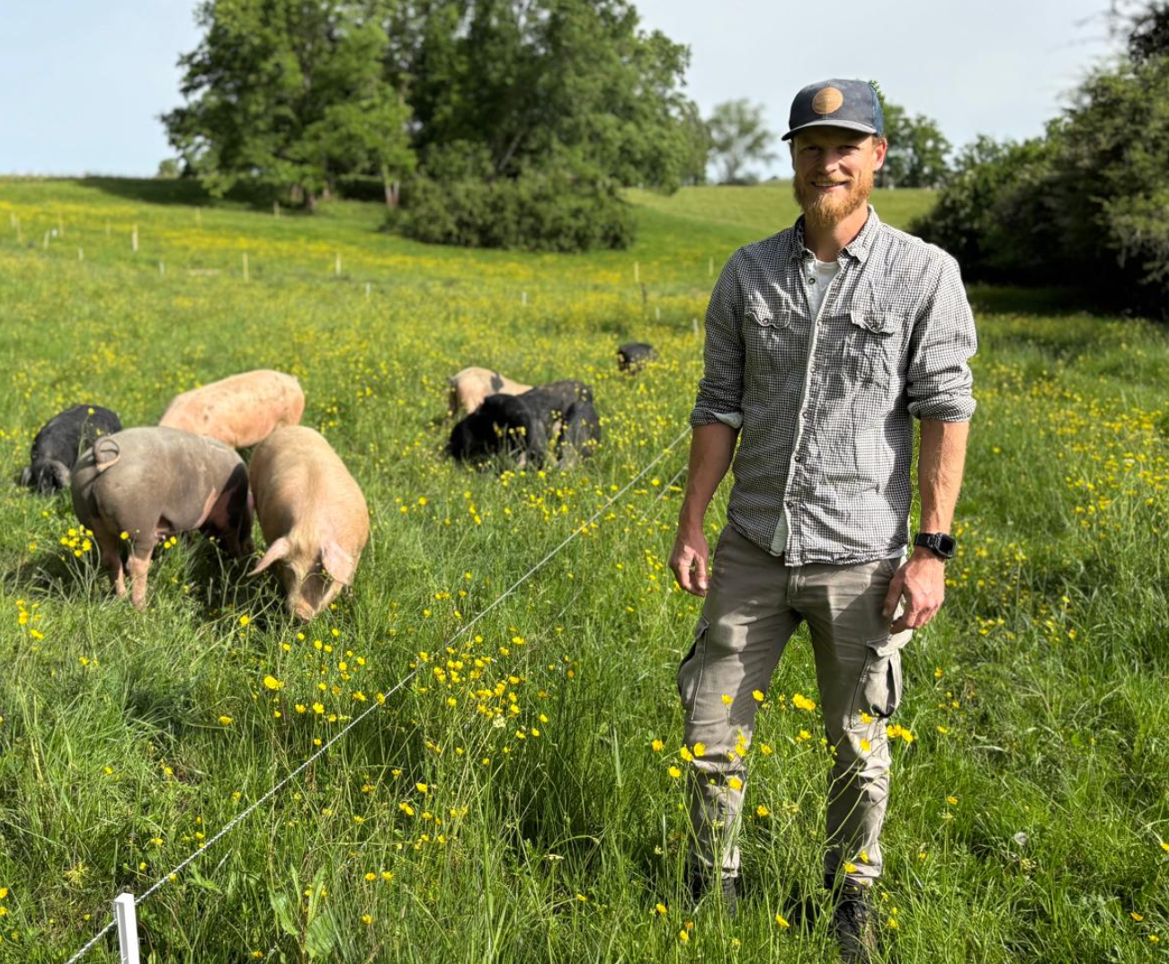 Ventreche de porc plein air