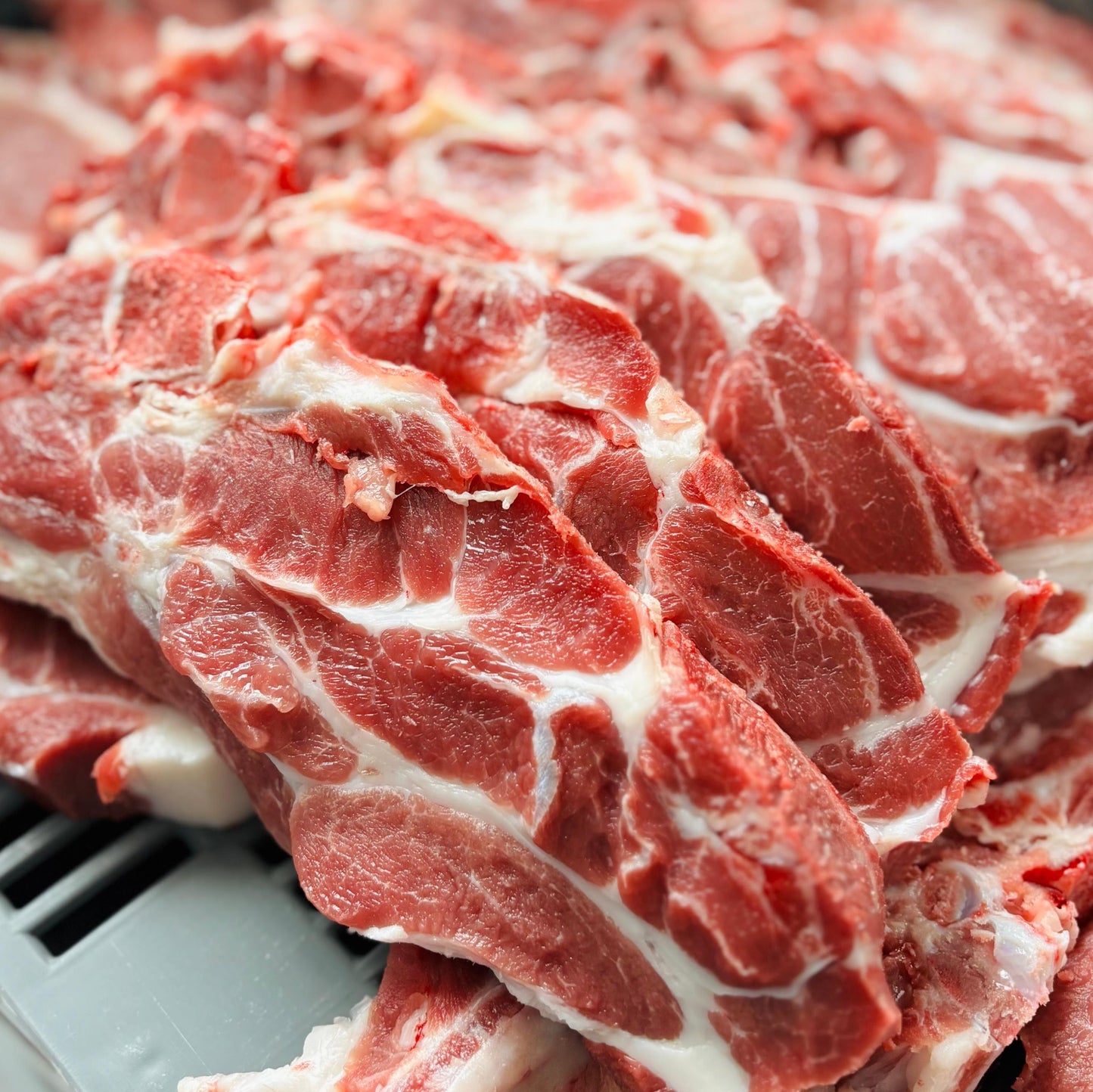 Côte échine de porc plein air