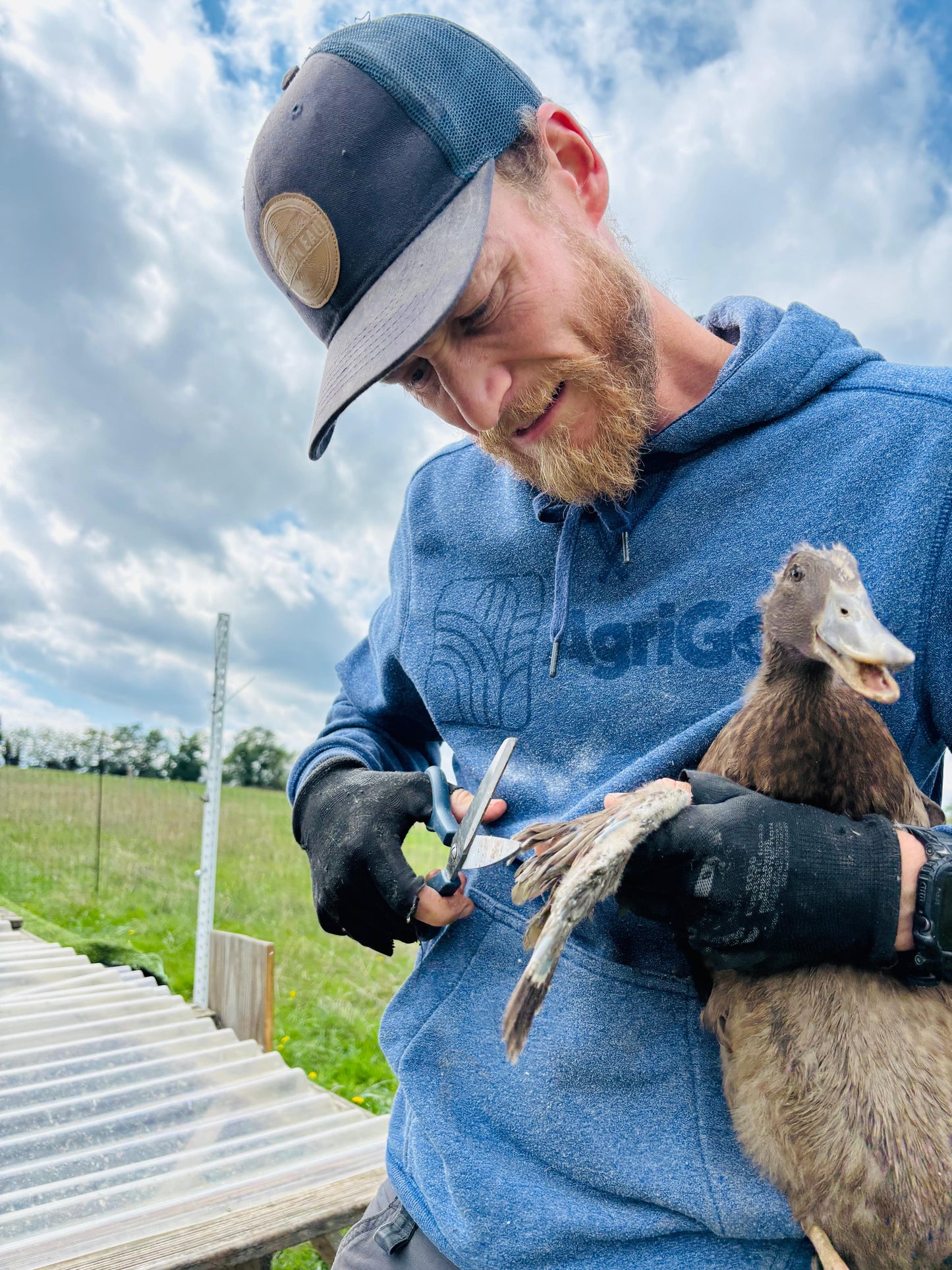 Canette Prêt à Cuire 1,1kg