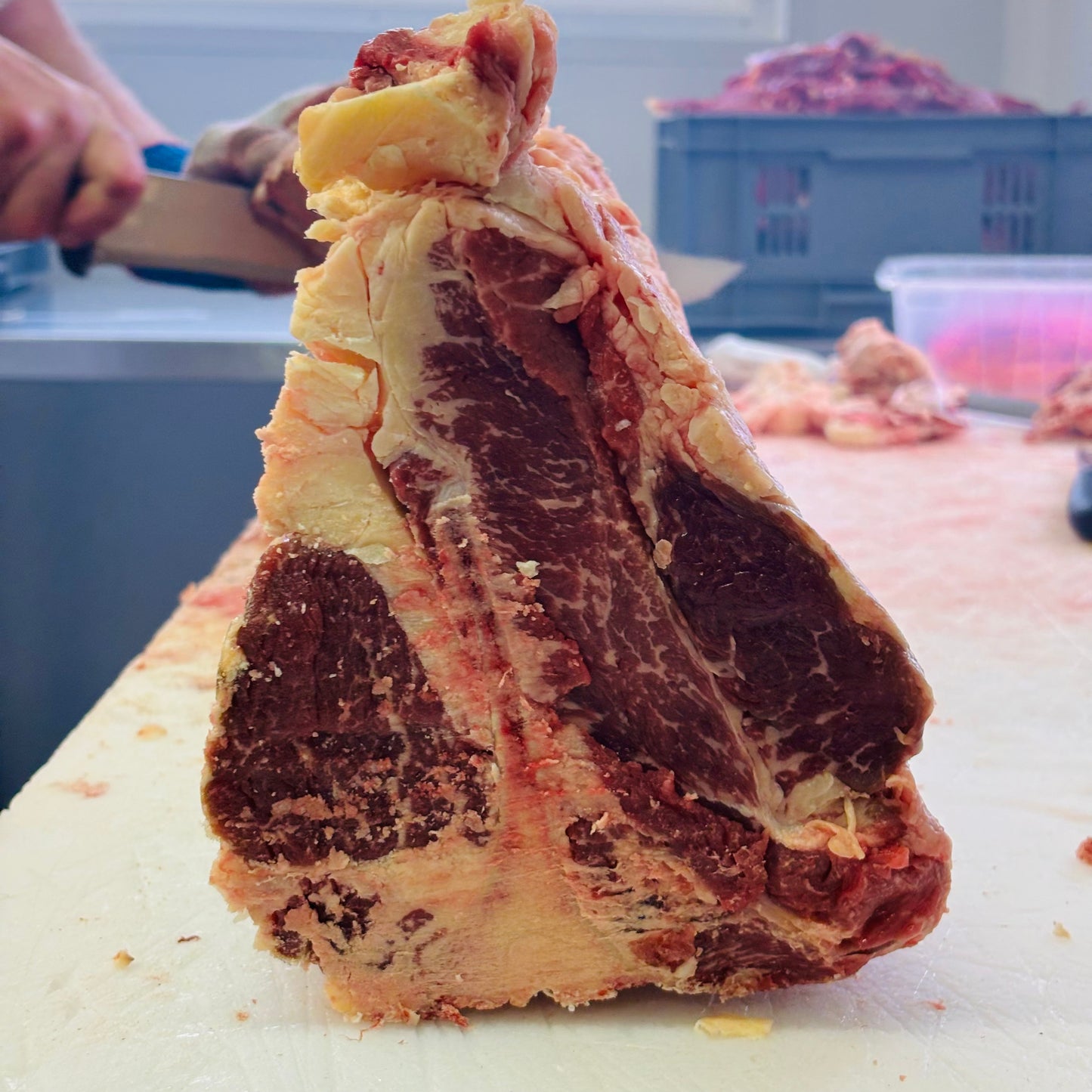 Aloyau de boeuf Pie Noir (T-bone)